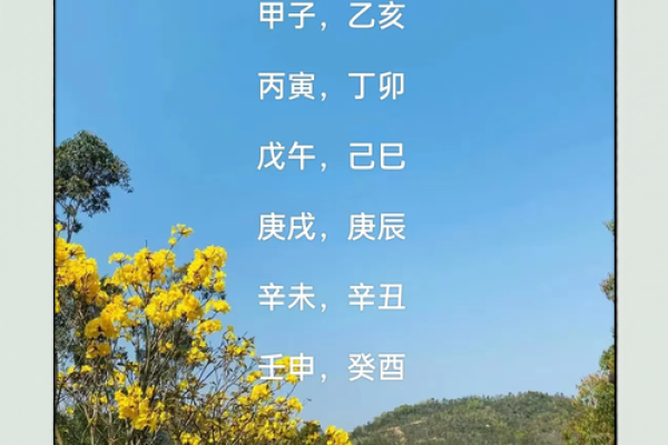 探寻辛巳辛卯庚午癸未命运的奥秘与人生智慧