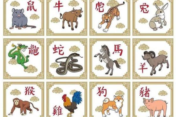 探秘“山头火命青猪”：命理与生肖的奇妙结合