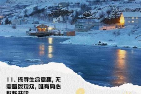 探寻生命的意义:活着的价值与追求之路