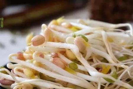 为什么有人嚼菜特别响:解密背后的命理与习惯