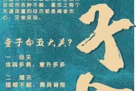 童子命与理科差异的深层解析:揭示命理背后的真相