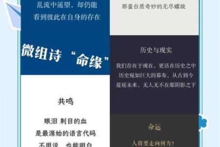 为什么童子命的人这么聪明?探索智慧与命运的奥秘