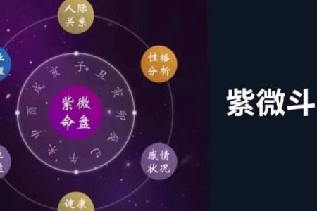 紫微命盘揭示:父母宫为何不走以解命运之迷