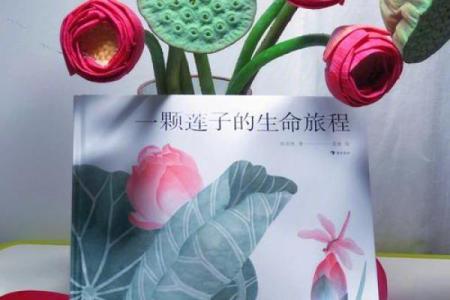 探秘辛巳年申时出生的命运:一段不可思议的生命旅程