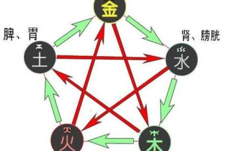探索五行之秘:木命与土命的深刻解读