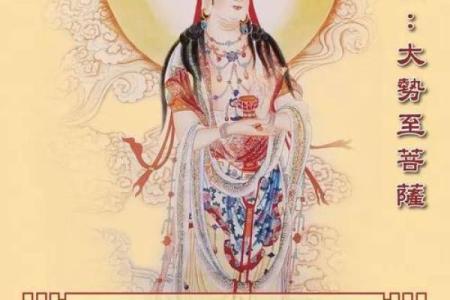 探寻2004年属猴的命格:聪慧与机遇的交错之旅