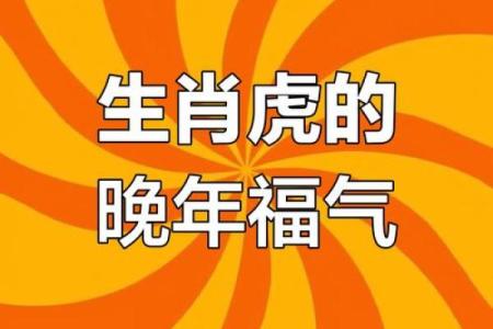 探寻属虎之人的命运与生辰,解密生肖中的智慧与人生