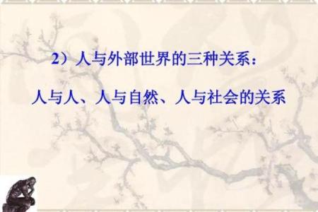 土命女人的命特点与人生哲学探寻