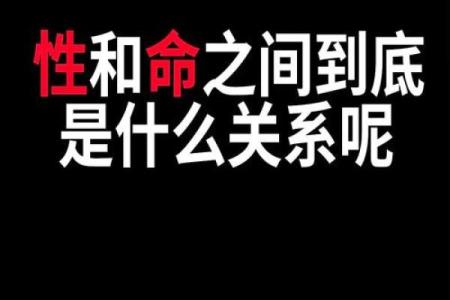 探索命运与脾气的奇妙关系,揭示人生的密码与秘密!