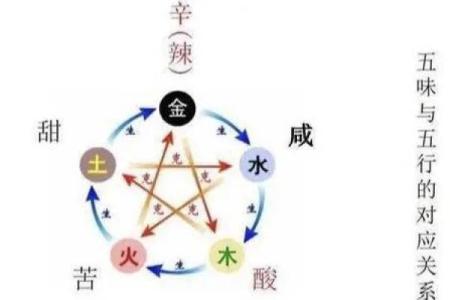 探索五行之道:解读命运与自然的和谐关系