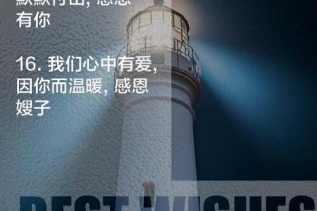 小嫂子的温暖与坚韧:她是家中不可或缺的支柱
