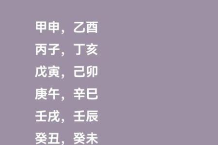 探寻辛巳辛卯庚午癸未命运的奥秘与人生智慧