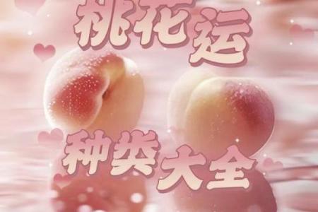 月上桃花命:解读女性命理中的桃花运与爱情运势