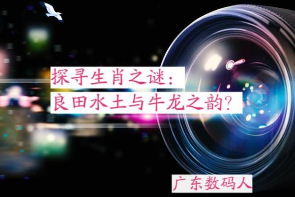 探寻上上等命的生肖之谜：解密命运与生肖的紧密联系