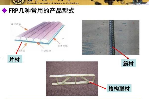 在土木工程的世界中，2023年属兔的启示与探索