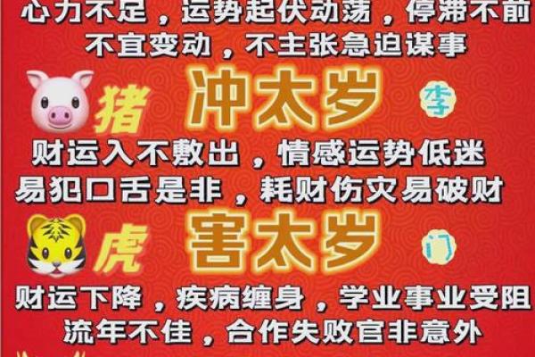 五三年属蛇的命运：深掘性格与运势的奥秘