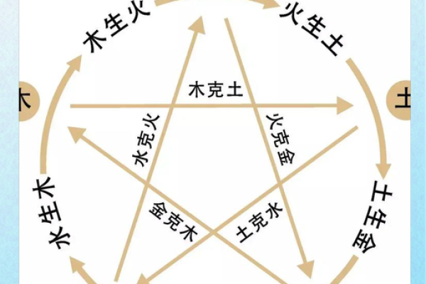 四大命理揭秘：土命、金命、木命与水命的奇妙人生
