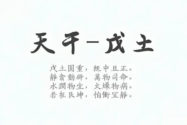 未时出生的女孩命理解析：命运与性格的神秘之旅