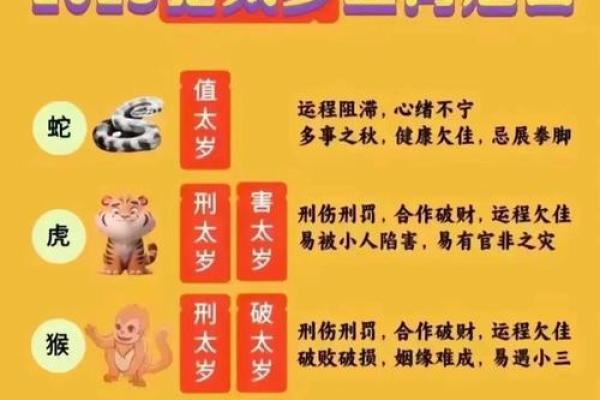 乙巳日做灶忌什么？命理属相与风水文化探秘