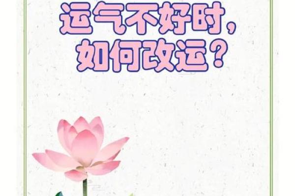 心想事成的运势与命理：揭秘好运背后的秘密