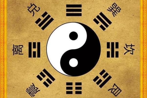 探秘壬甲命：水与木的奇妙交融
