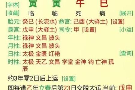 探秘水命人:最具灵性与适应力的八字命理解析