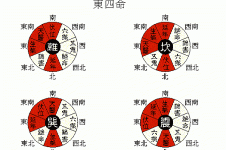 探寻命卦之谜:如何了解自己的命卦属相?