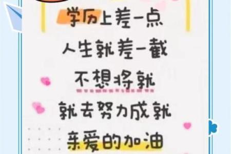 在土木工程的世界中,2023年属兔的启示与探索