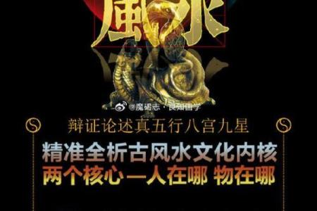 唐符国印命的秘密:解读命理与人生的交汇点