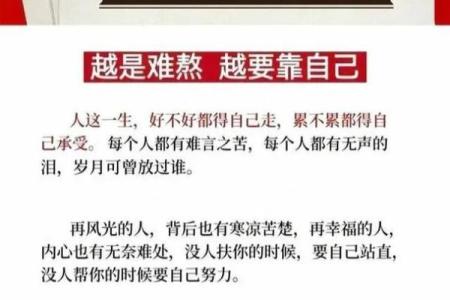 一命换你一时无忧,让我们一起解读生活中的选择与牺牲