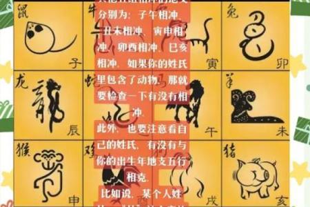 探寻生肖与大林木命的神秘关联,揭示木命人的性格特点与命运之路!