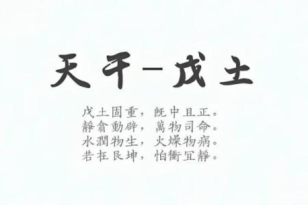 未时出生的女孩命理解析:命运与性格的神秘之旅
