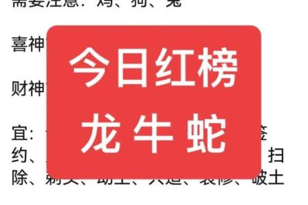 探索属龙人的命理特征与人生运势之谜