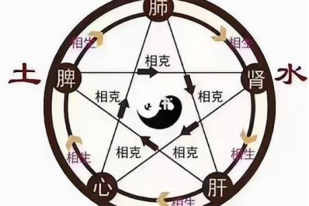 探索生命的元素:金命与土命的奥秘