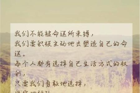 英雄命短,历史中的悲惨命运与勇敢绽放
