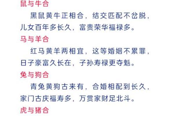 探索属相：他乡之命与生肖的奇妙联系