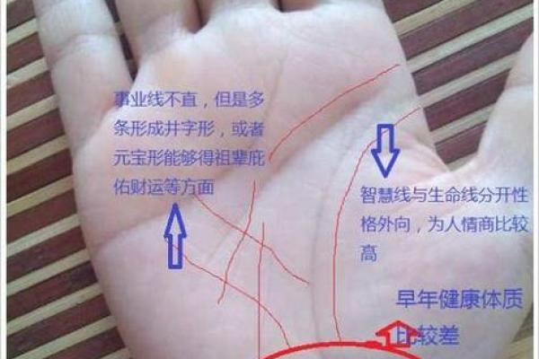 算命命理与财运分析：如何把握财富之道