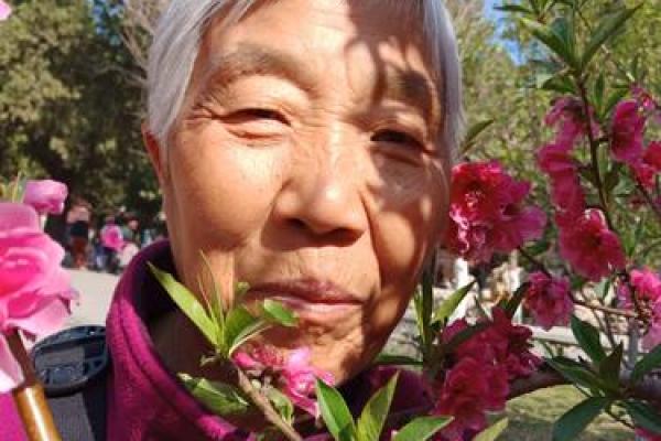 戊子年三月初六，命理探秘与人生启示