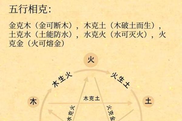 五行大林木命的数字之道：了解适合的数字与其意义