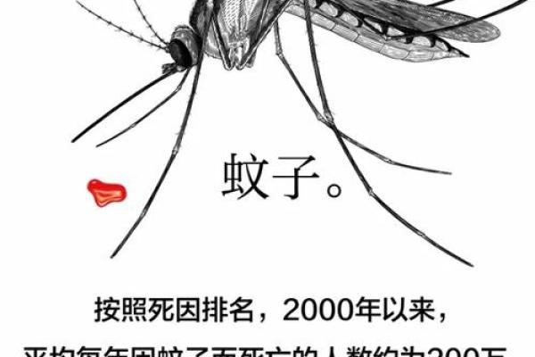 探寻八字中的贵妇命：如何识别与塑造自己的命运？