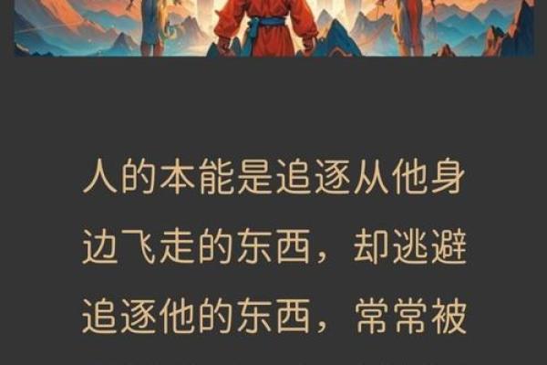 为什么算计别人的命是一种无望的追逐？
