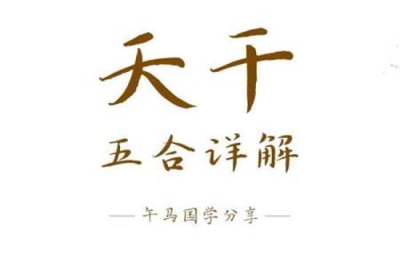 探寻命理的奥秘:逆合命与合命的深层关系