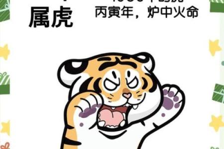 探寻属虎正月出生的命运之谜:勇敢与智慧的结合
