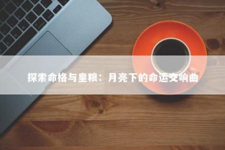 探索命格与皇粮:月亮下的命运交响曲