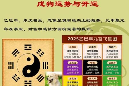 戌时末生狗巡视:探索狗年命理的奥秘与运势