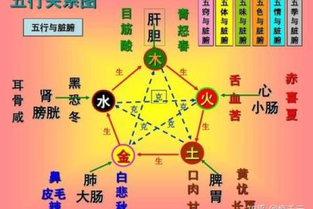 通过五行分析,揭示你的命运与个性特征