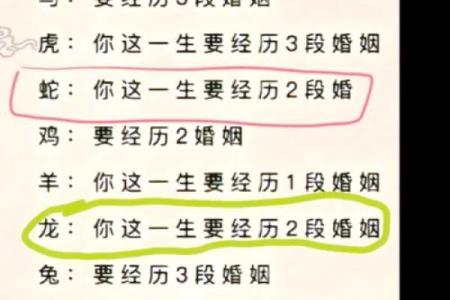 探寻女性命运的奥秘:属相与人生的关系