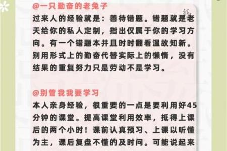 我们都拼了命啊:探讨拼搏与梦想的交织之路