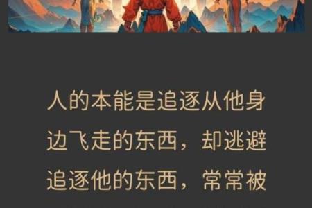 为什么算计别人的命是一种无望的追逐?
