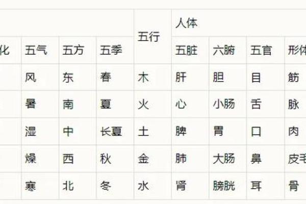 五行之道：水火土命的性格与人生智慧探讨